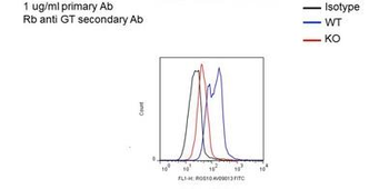 RGS10 Rabbit Polyclonal Antibody