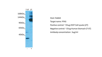 PFAS Rabbit Polyclonal Antibody