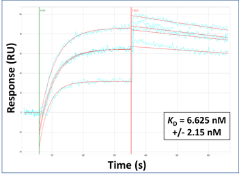 JOSD2 Rabbit Polyclonal Antibody
