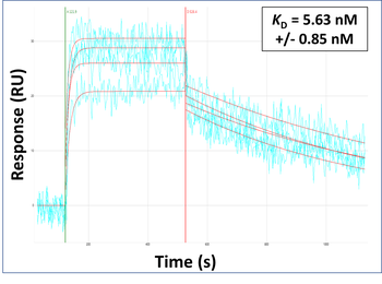 PSTK Rabbit Polyclonal Antibody