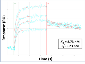 RILP Rabbit Polyclonal Antibody