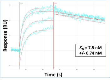 STAC3 Rabbit Polyclonal Antibody