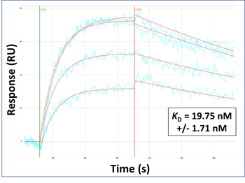 PDZD8 Rabbit Polyclonal Antibody