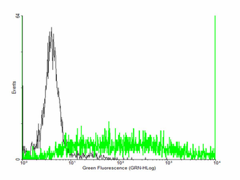 COLEC12 MaxPab mouse polyclonal antibody (B01)