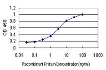 CHTF18 monoclonal antibody (M01), clone 1F5