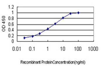 CAND1 monoclonal antibody (M01), clone 5D7