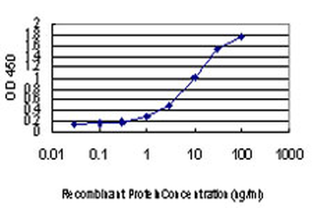 CHFR monoclonal antibody (M01), clone 1H3-A12