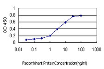 DDX41 monoclonal antibody (M01), clone 2F4