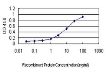 POLK monoclonal antibody (M01), clone 6F2