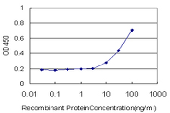 BRMS1 monoclonal antibody (M01), clone 2D4-2G11