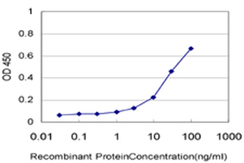 CASP14 monoclonal antibody (M01), clone 4C9