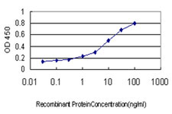 DAAM1 monoclonal antibody (M05), clone 5D3