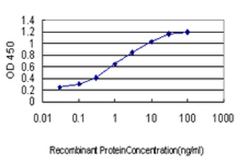 AKAP10 monoclonal antibody (M04), clone 8C10