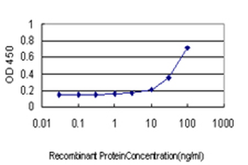 CHEK2 monoclonal antibody (M01), clone 4B7