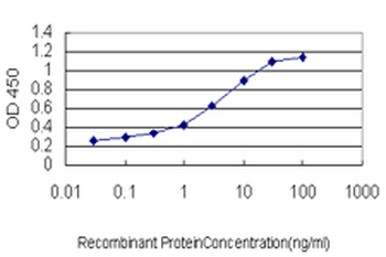 AHCYL1 monoclonal antibody (M05), clone 5D6