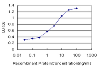 CAMKK2 monoclonal antibody (M02), clone 4C7