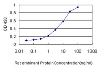 CAMKK2 monoclonal antibody (M01), clone 1A11