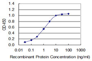 CCT2 monoclonal antibody (M01), clone 2G6