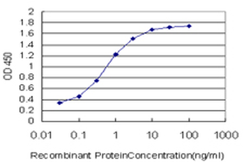 BATF monoclonal antibody (M03), clone 1G4