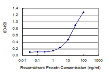 CHERP monoclonal antibody (M01), clone 2H5