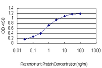 ACAA2 monoclonal antibody (M01), clone 5C4