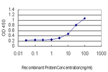BCAS2 monoclonal antibody (M01), clone 1D10