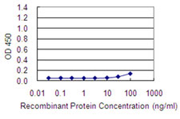 ACTR3 monoclonal antibody (M02), clone 2B6