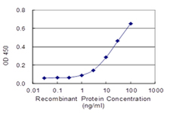 USP15 monoclonal antibody (M01), clone 1C10