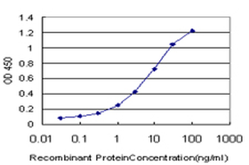 CREB5 monoclonal antibody (M02), clone 8A5