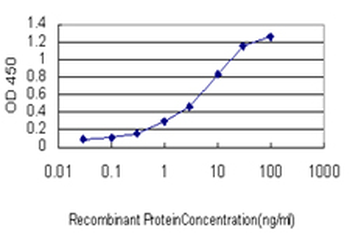 BCL7B monoclonal antibody (M01), clone 6D2