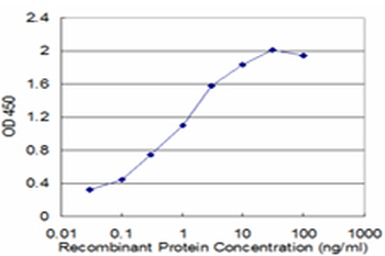 CTDP1 monoclonal antibody (M04), clone 3G4