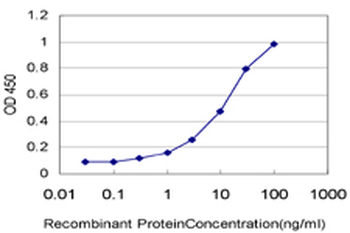 ARHGEF1 monoclonal antibody (M03), clone 4C4