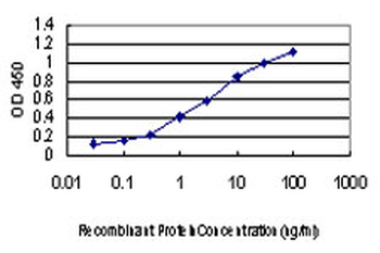 ATP6V0D1 monoclonal antibody (M01), clone 2G12