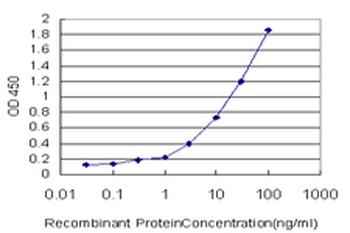 CCNK monoclonal antibody (M01), clone 3B7-1B9