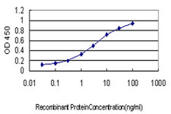 CRADD monoclonal antibody (M01), clone 1F8