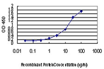 ENC1 monoclonal antibody (M02), clone 3B1