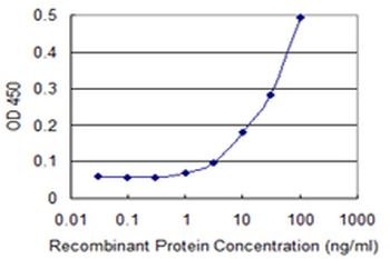 CLPP monoclonal antibody (M01), clone 3E2