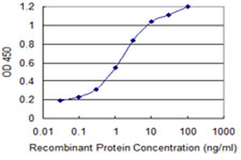 TRPV1 monoclonal antibody (M02), clone 1A8