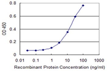ALDH18A1 monoclonal antibody (M01), clone 2B5