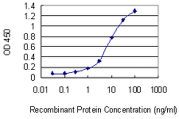 CNOT3 monoclonal antibody (M01), clone 4B8