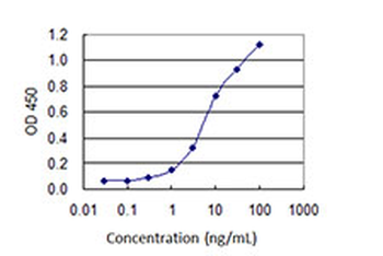 EBF1 monoclonal antibody (M01J), clone 1C12