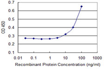 DDX11 monoclonal antibody (M03), clone 3C1