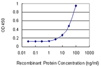 DDOST monoclonal antibody (M06), clone 2D7