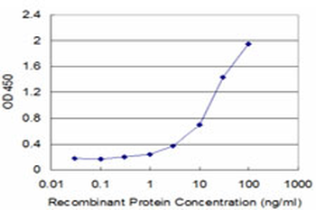 DDB1 monoclonal antibody (M01), clone 4C5