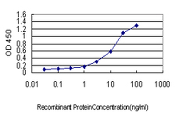 CSE1L monoclonal antibody (M05), clone 3F8