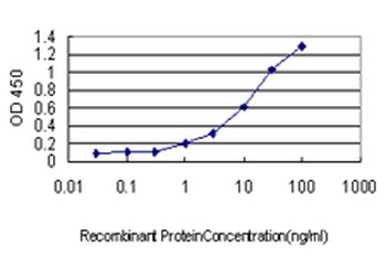 CSE1L monoclonal antibody (M04), clone 2F4