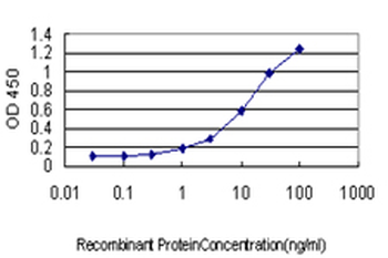 CSE1L monoclonal antibody (M03), clone 2C10