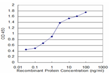 CRYM monoclonal antibody (M09), clone 1C6