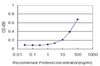 CRYBB1 monoclonal antibody (M03), clone 3D9