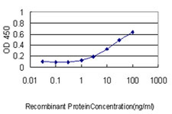 CRYAB monoclonal antibody (M01), clone 1A10-1A4